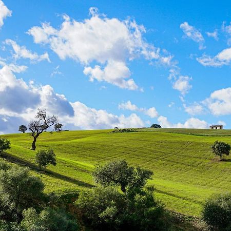 Casa Al Cerro Διαμέρισμα Alora Εξωτερικό φωτογραφία