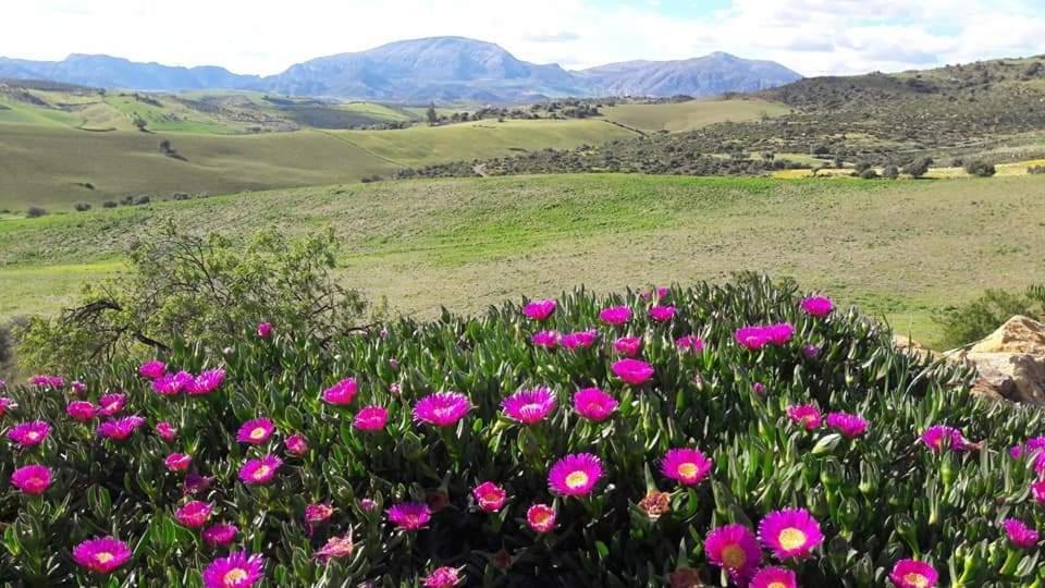 Casa Al Cerro Διαμέρισμα Alora Εξωτερικό φωτογραφία