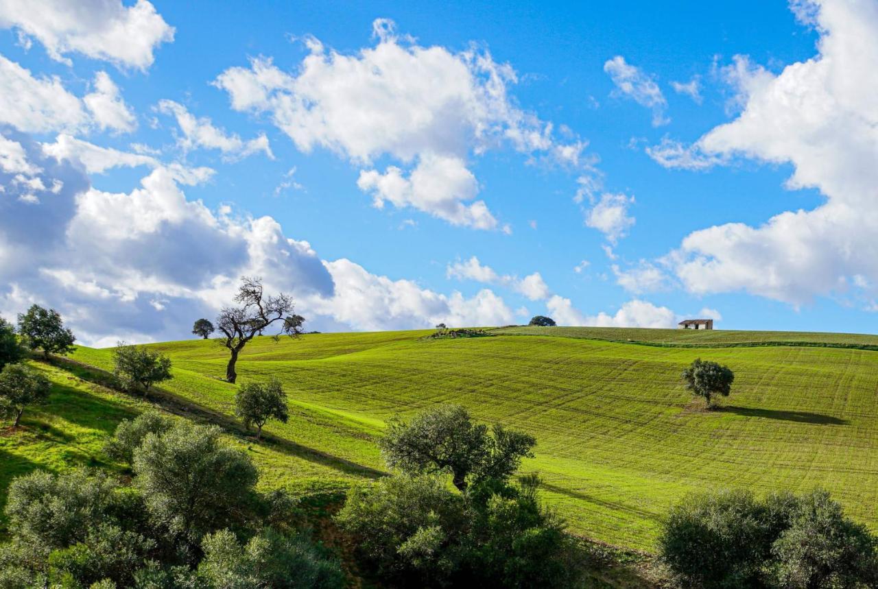 Casa Al Cerro Διαμέρισμα Alora Εξωτερικό φωτογραφία