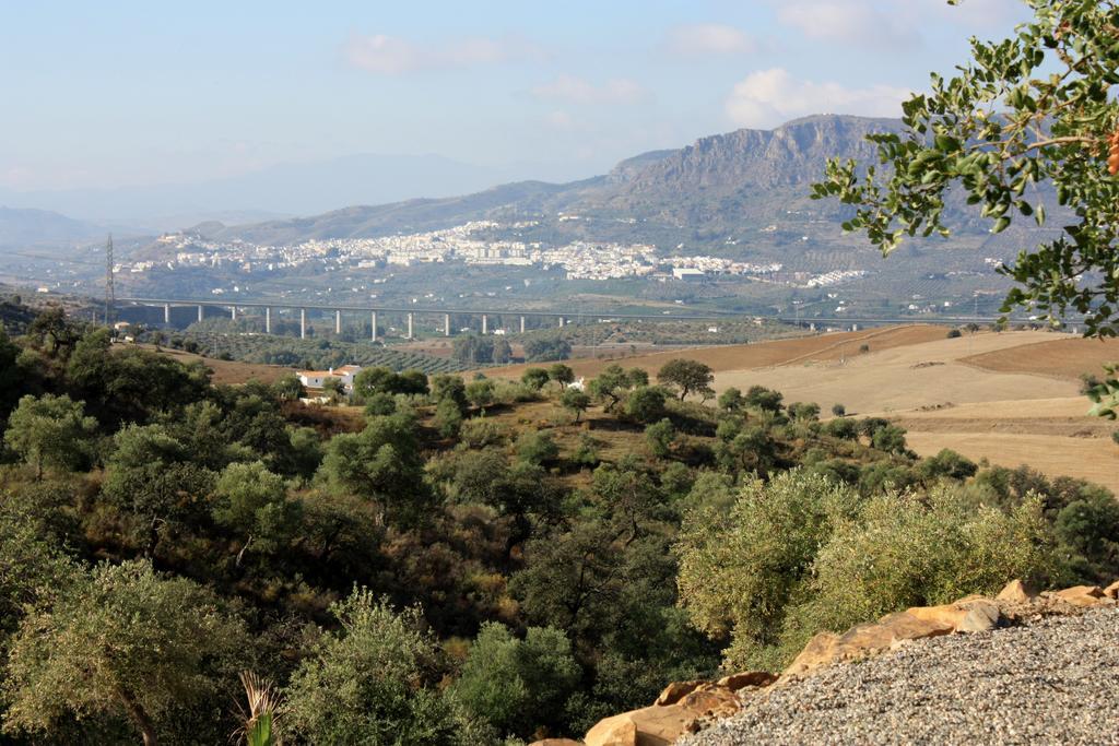 Casa Al Cerro Διαμέρισμα Alora Δωμάτιο φωτογραφία