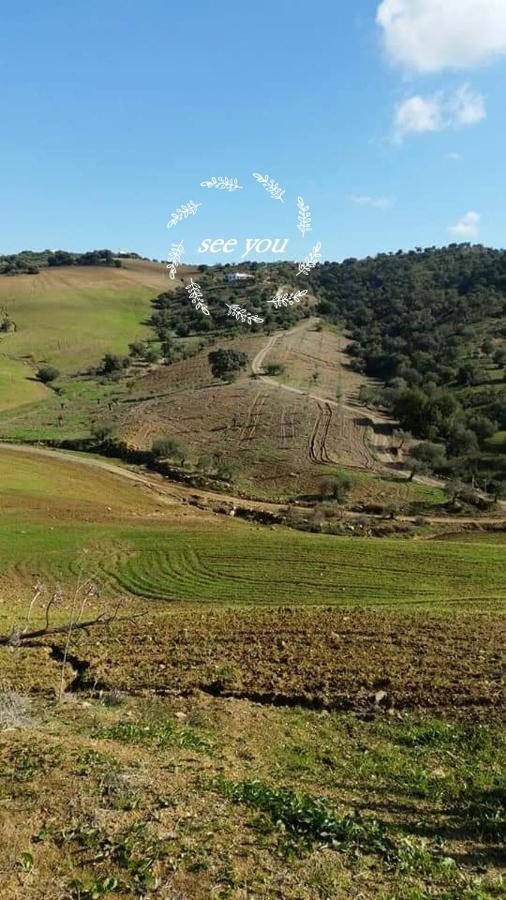 Casa Al Cerro Διαμέρισμα Alora Εξωτερικό φωτογραφία